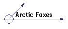 Arctic Foxes